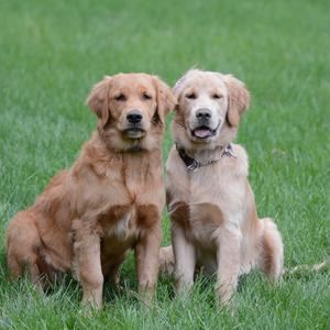 Meet your Posher, Michele